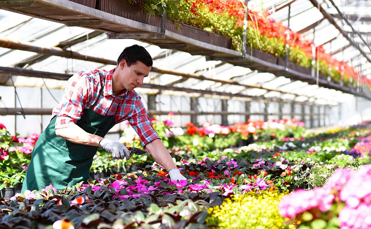 EmployAbility Louth agricultural positions available